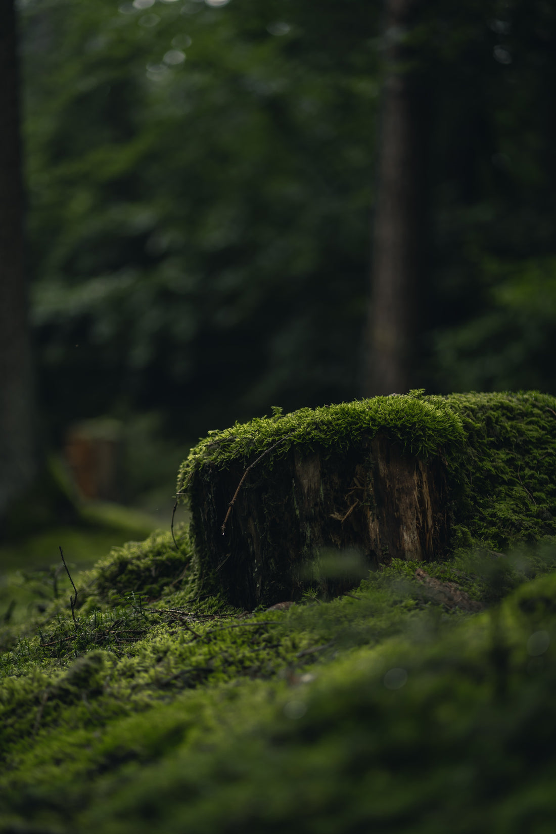 What is the right way to listen to fragrances to get a feel for them?