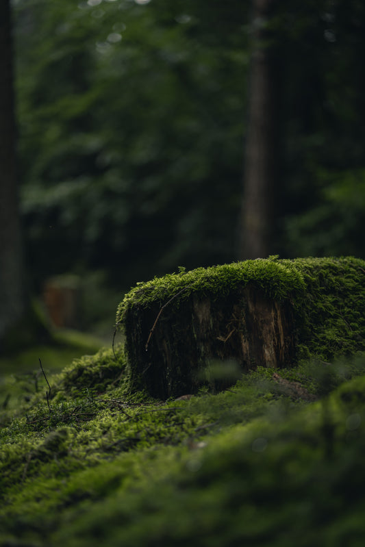 What is the right way to listen to fragrances to get a feel for them?