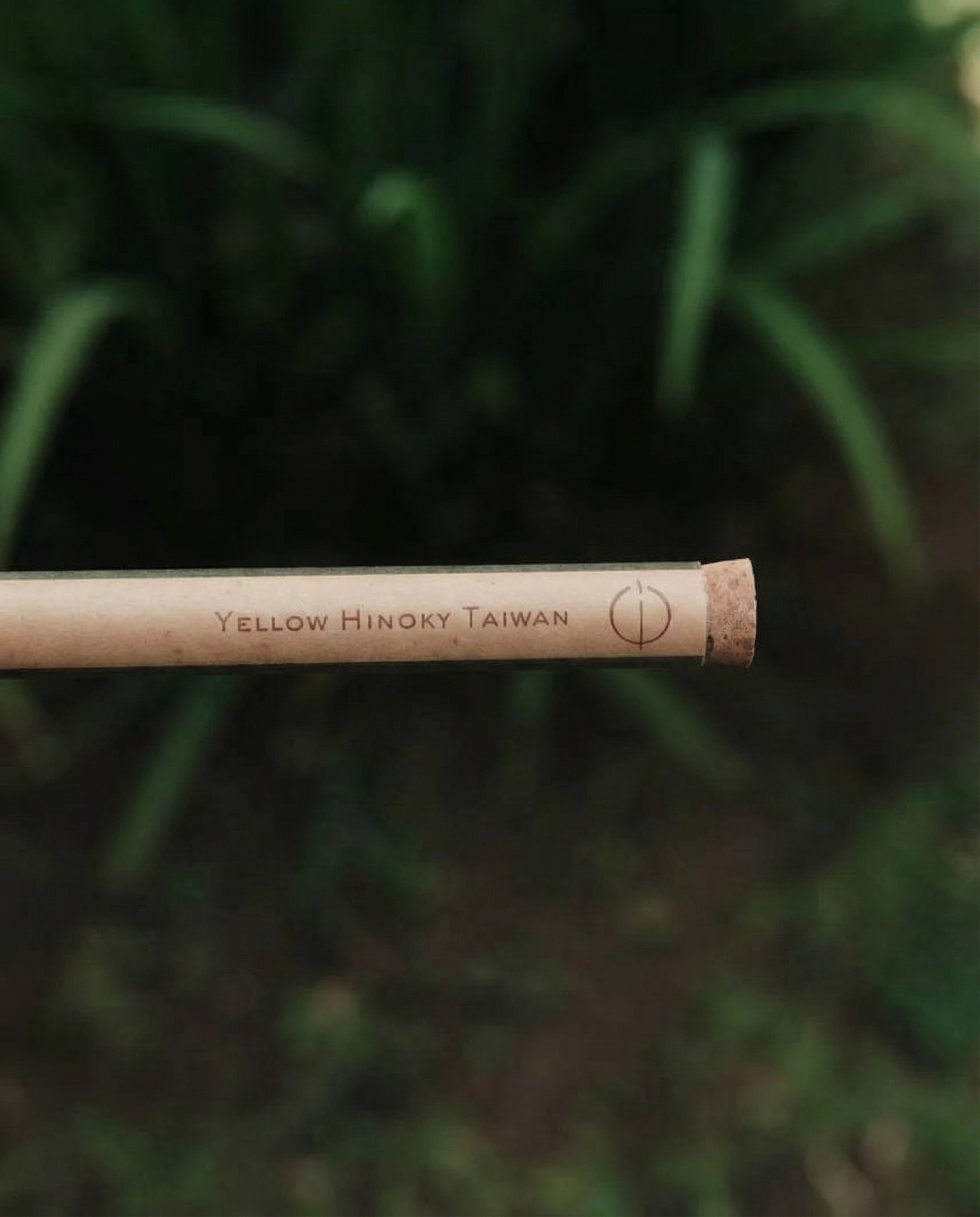 Hinoki: The Northern "Sandalwood"